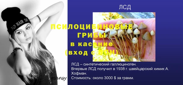 марихуана Новодвинск