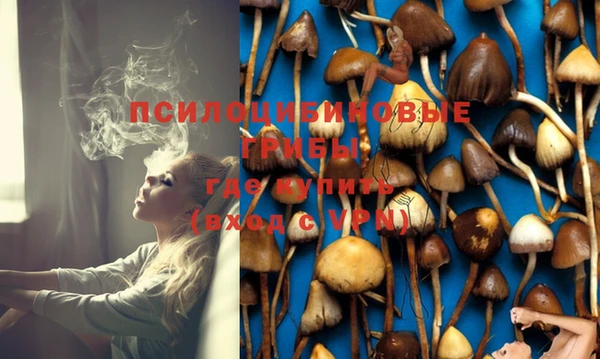 соль курить ск Няндома
