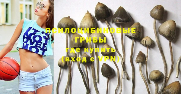 соль курить ск Няндома